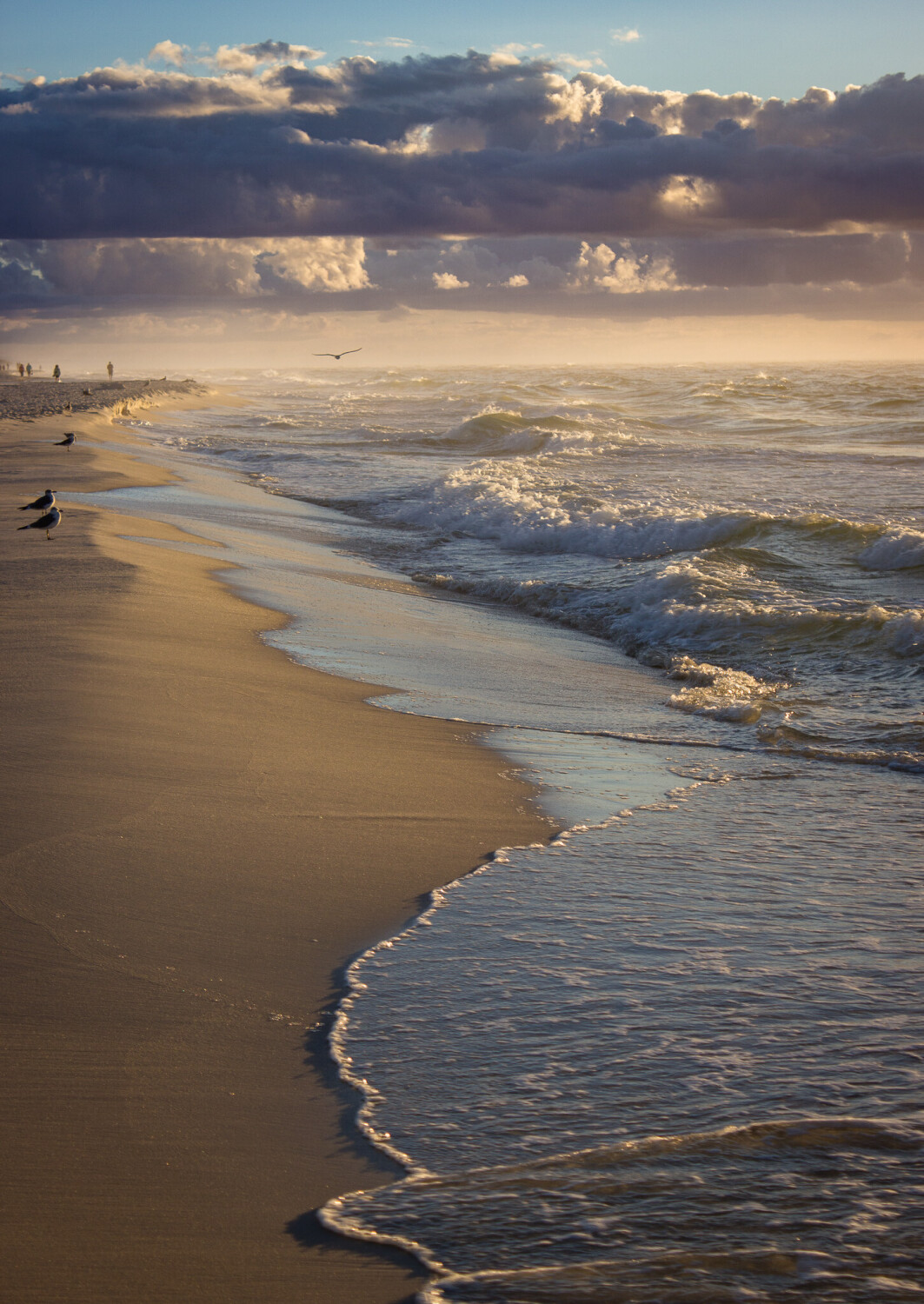 Coastal Requiem