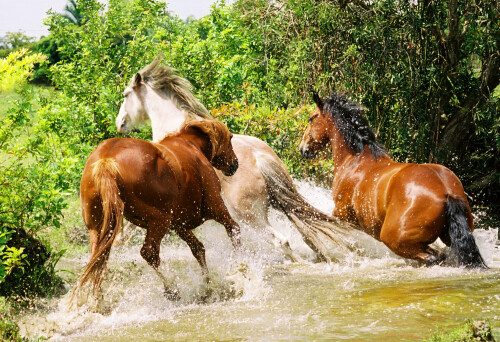 Wet and Wild!