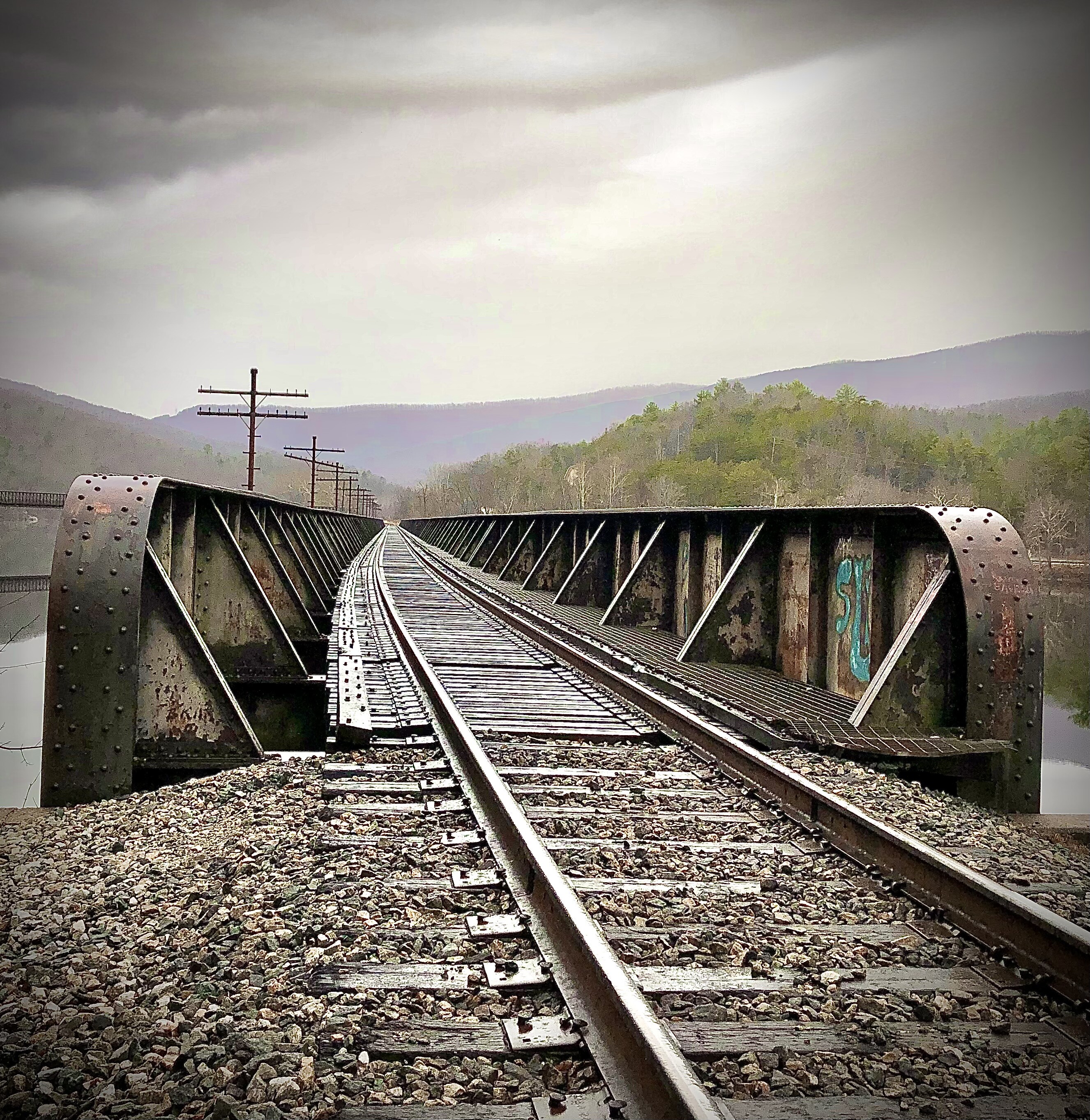 Foggy Morning Walk On The Appalachian Trail