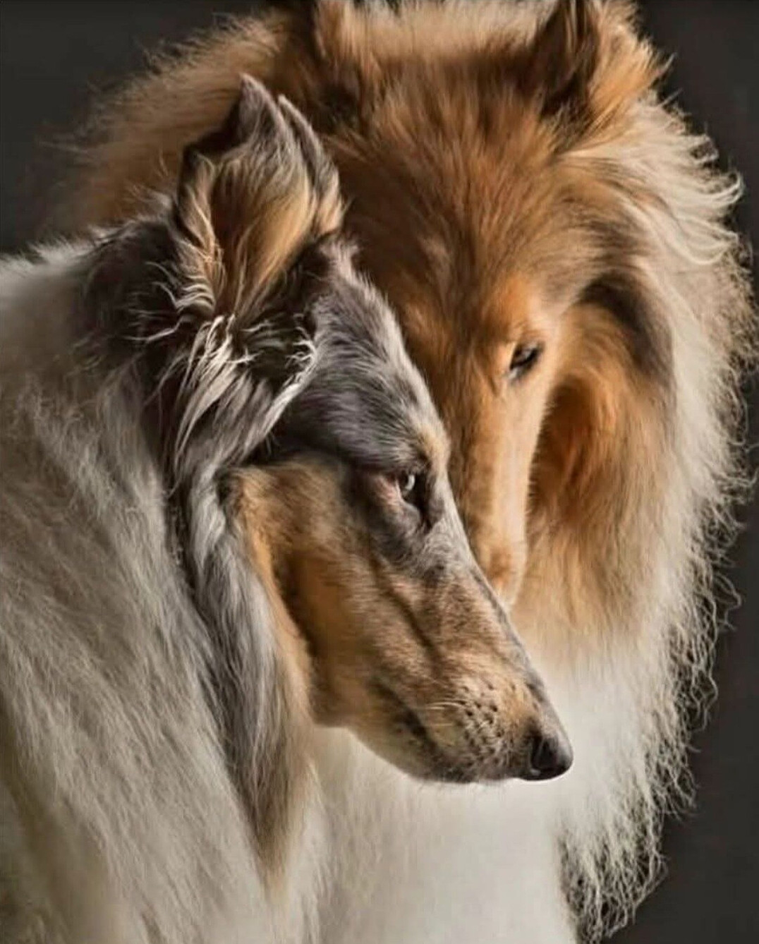 Brotherly Love