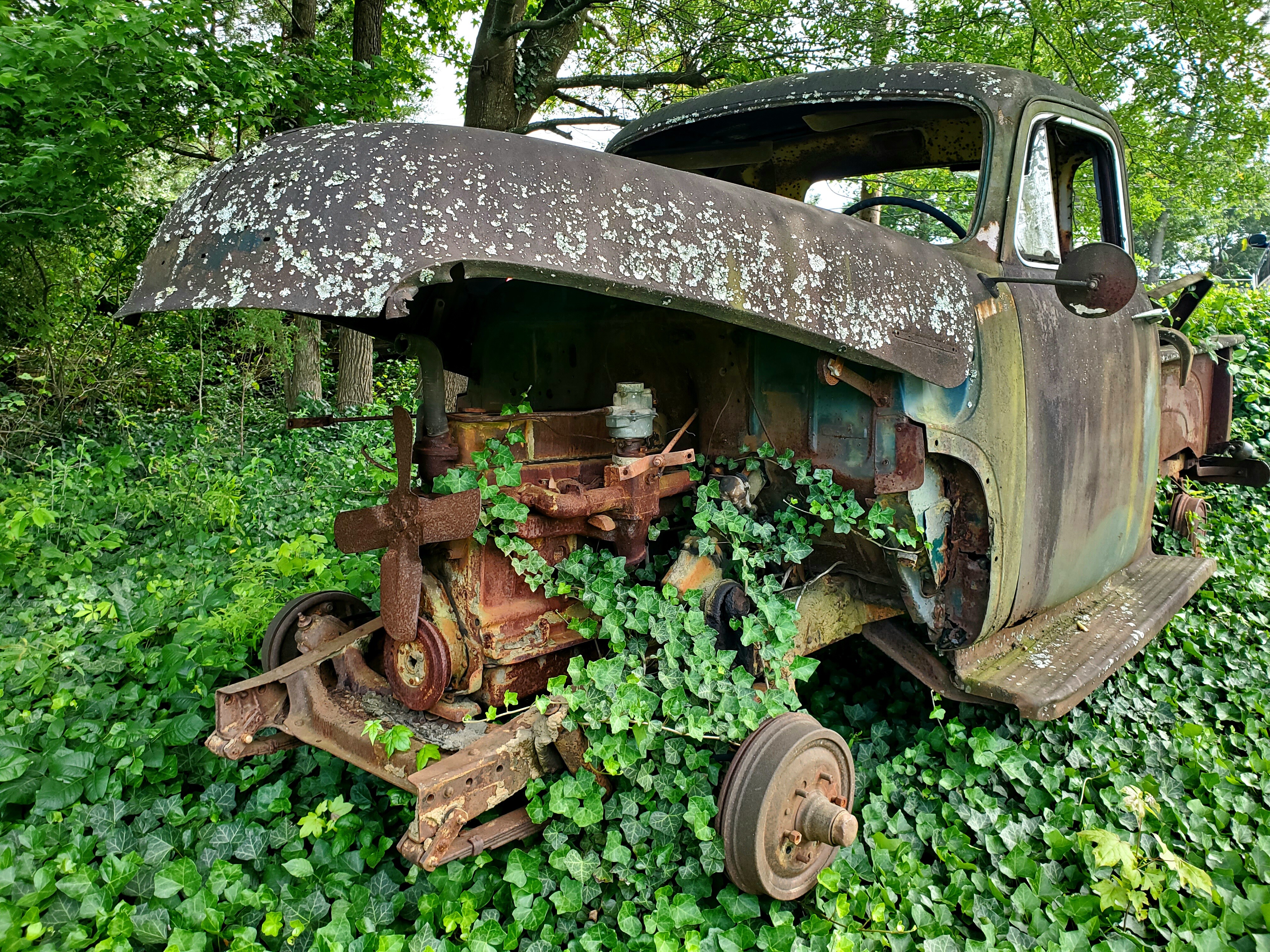 Rust In Peace