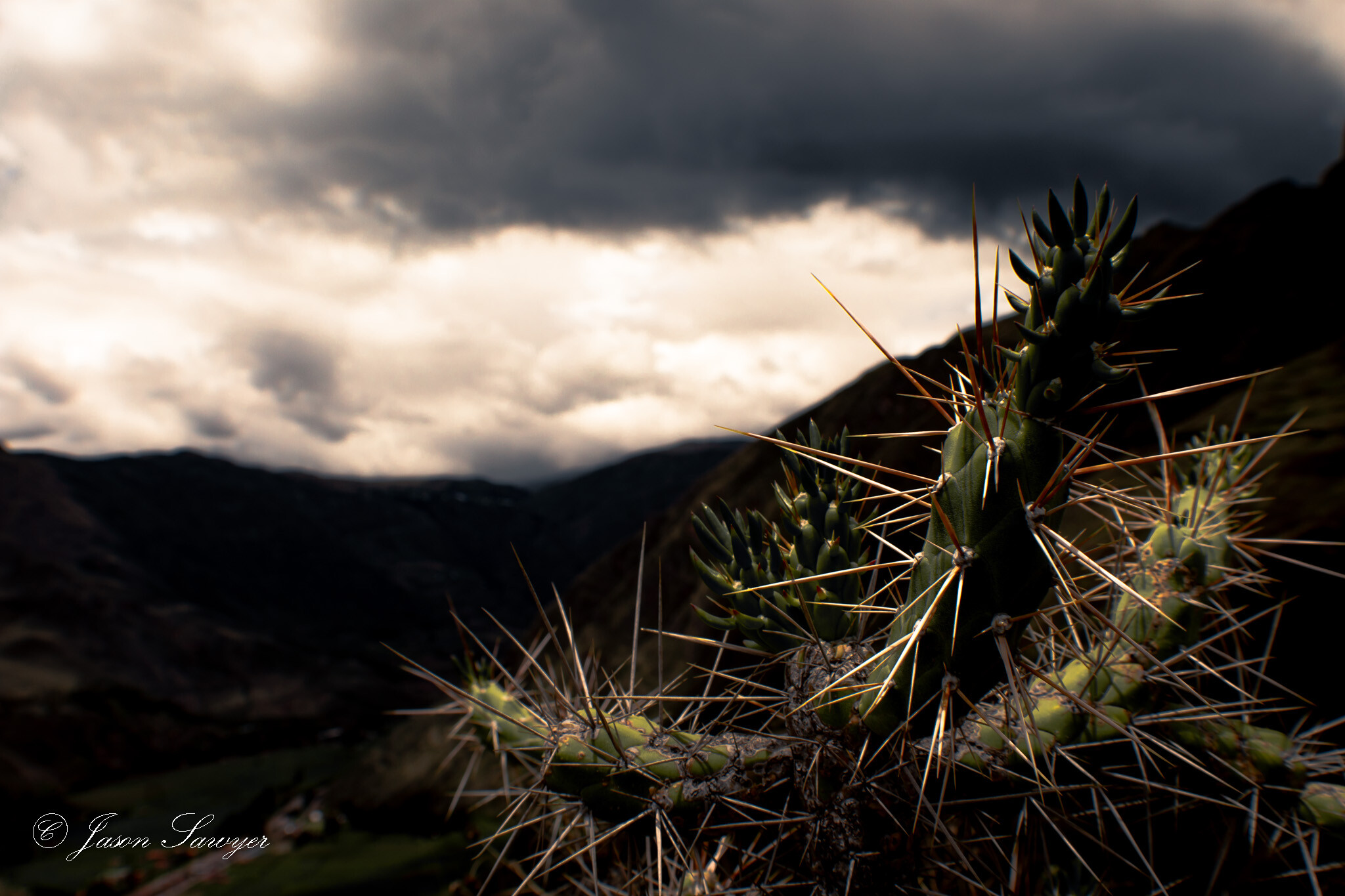 Desert Storm